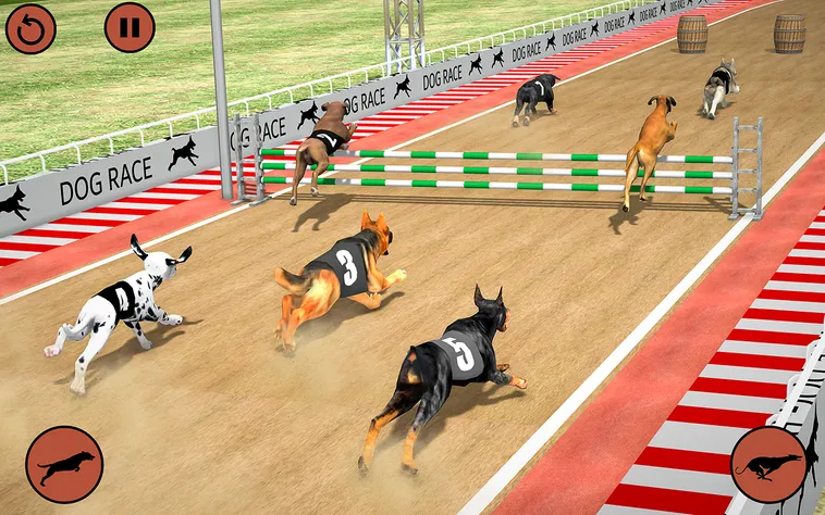 Trải Nghiệm Game Nhanh Đua Chó Tại HitClub Kịch Tính Năm 2026