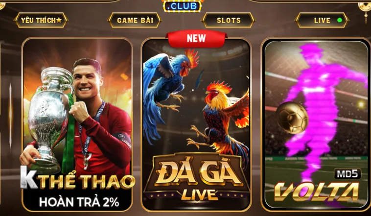 Bí Kíp Tham Gia Thể Thao HitClub Luôn Thắng Từ Các Chuyên Gia